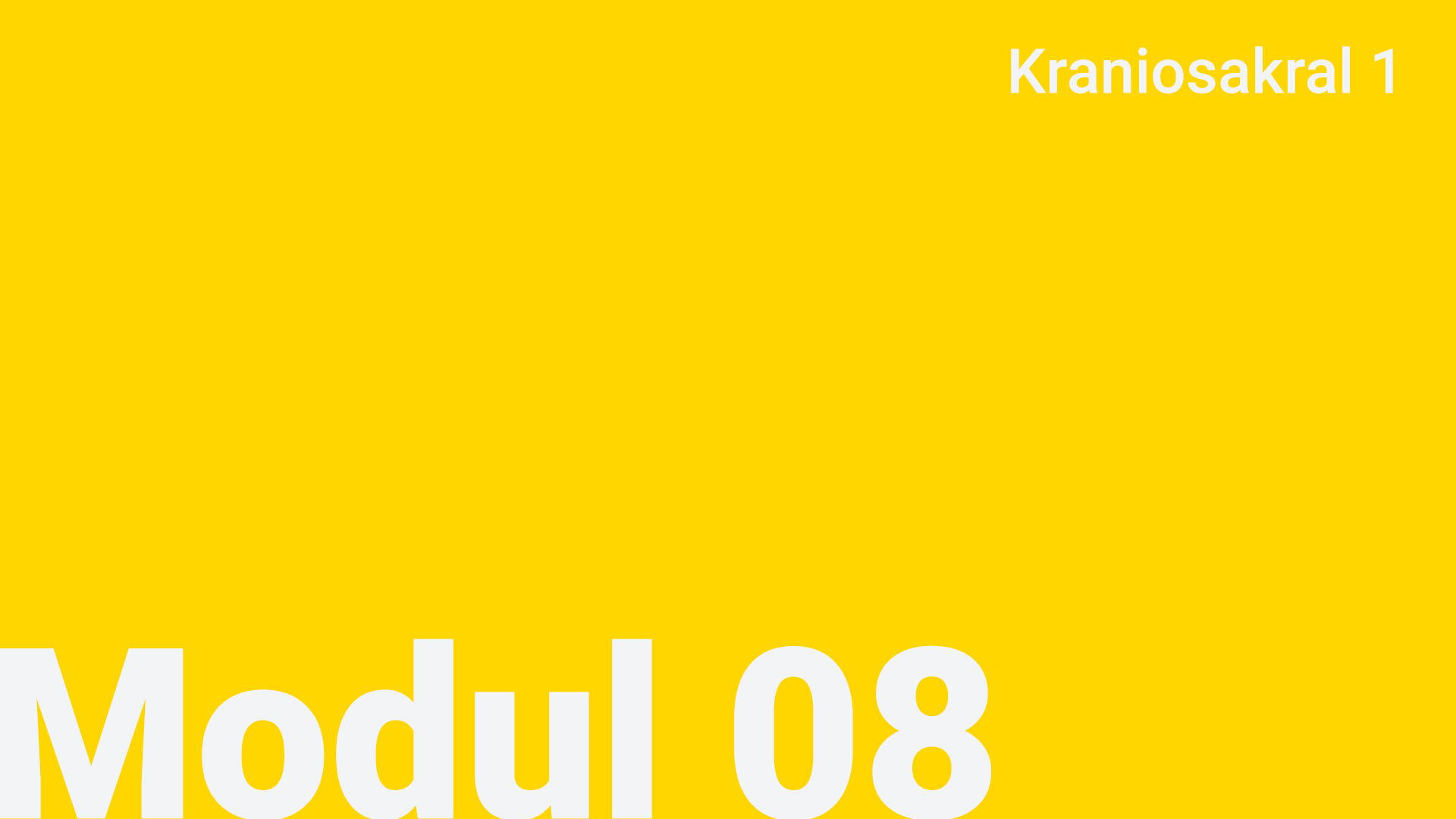 Modul 08 - Kraniosakral 1